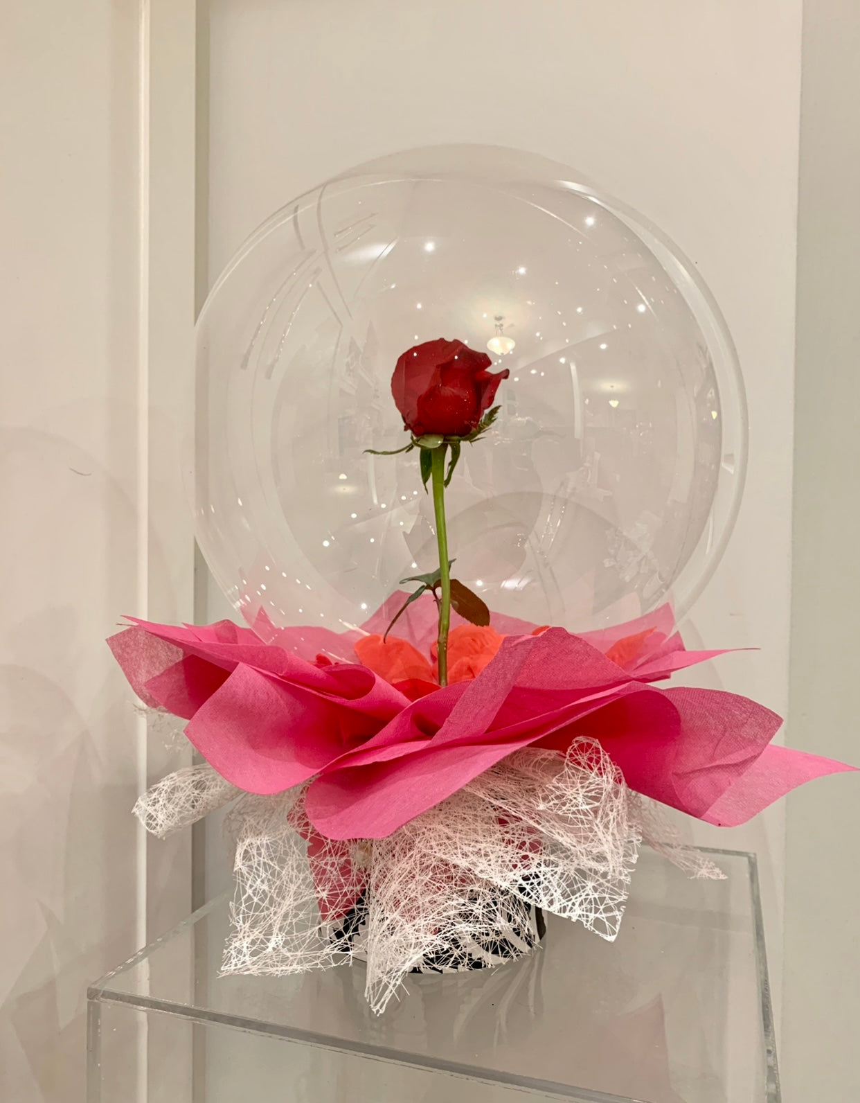 Rose in a Bubble Balloon Webinar